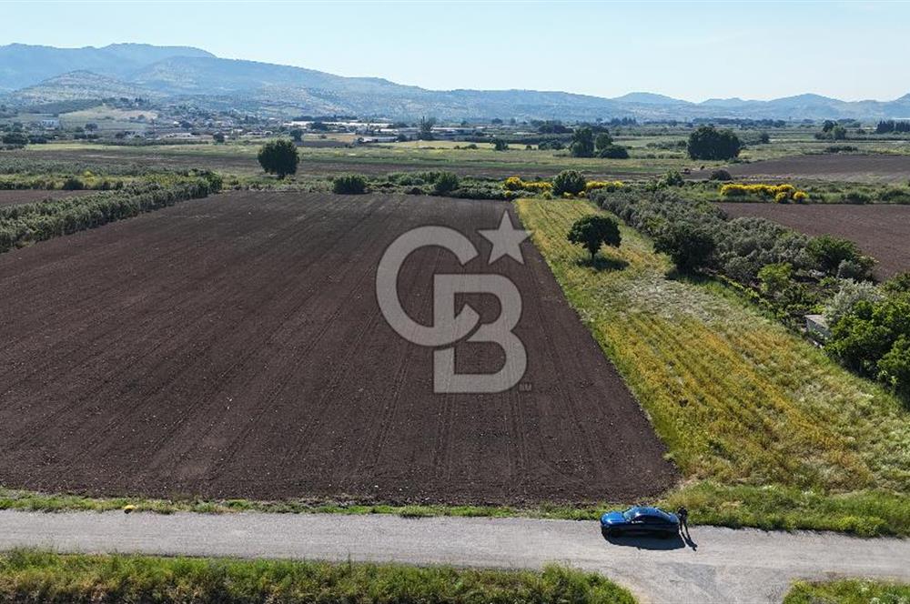 İzmir Dikili Demirtaş Köyü Satılık Tarla 10 Dönüm