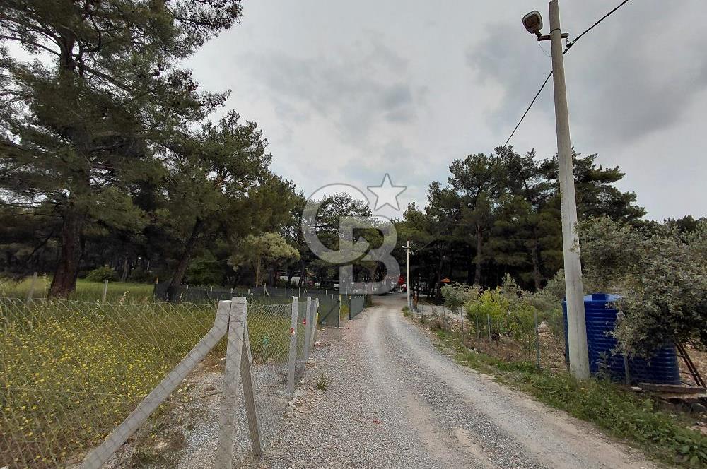 Yakaköy Mesire Karşısı Köşe Konum | Yola Cepheli Özel Parsel