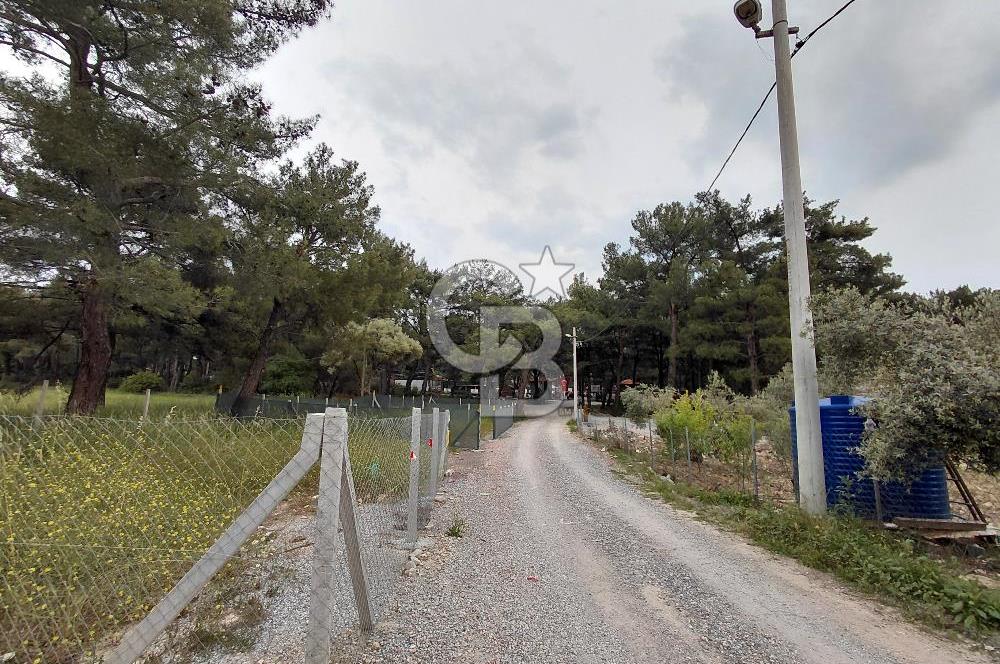 Yakaköy Mesire Karşısı Köşe Konum | Yola Cepheli Özel Parsel