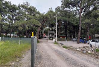 Yakaköy Mesire Karşısı Köşe Konum | Yola Cepheli Özel Parsel - 11 - 350226