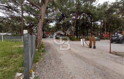 Yakaköy Mesire Karşısı Köşe Konum | Yola Cepheli Özel Parsel