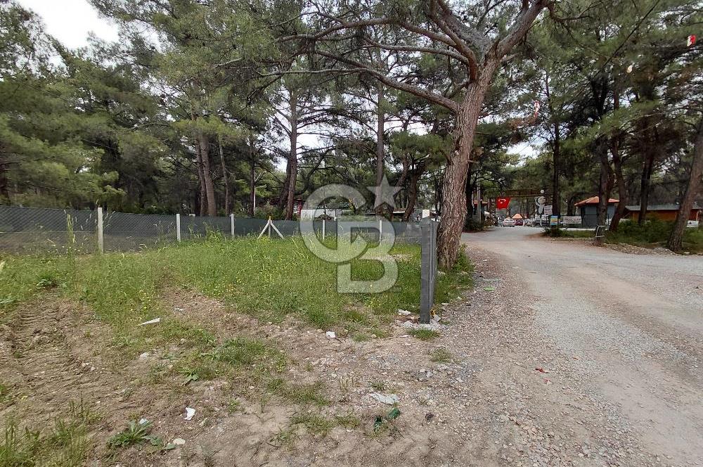 Yakaköy Mesire Karşısı Köşe Konum | Yola Cepheli Özel Parsel