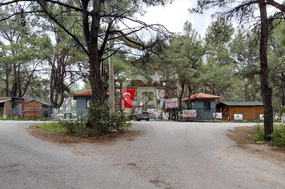 Yakaköy Mesire Karşısı Köşe Konum | Yola Cepheli Özel Parsel