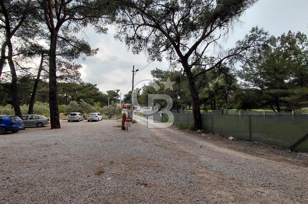 Yakaköy Mesire Karşısı Köşe Konum | Yola Cepheli Özel Parsel
