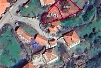 Ayvalık Altınovaya 5Km Mesafede 420 m²Arsa İçinde Kargir Köy Evi - 11 - 350177