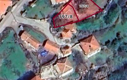 Ayvalık Altınovaya 5Km Mesafede 420 m²Arsa İçinde Kargir Köy Evi