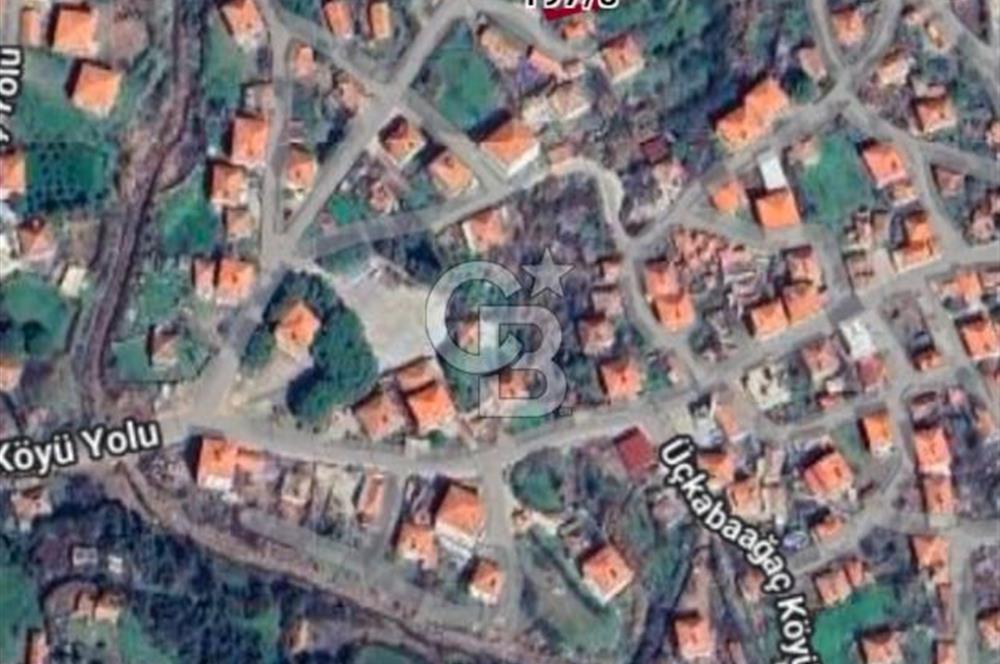 Ayvalık Altınovaya 5Km Mesafede 420 m²Arsa İçinde Kargir Köy Evi