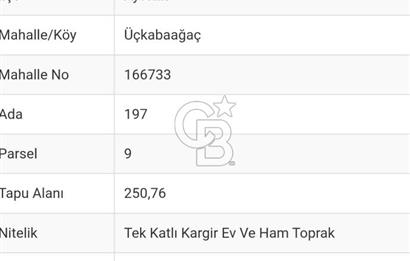 Ayvalık Altınovaya 5Km Mesafede 420 m²Arsa İçinde Kargir Köy Evi