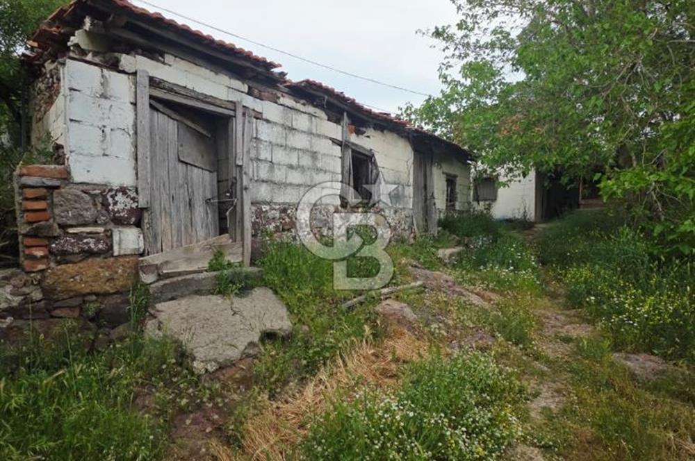 Ayvalık Altınovaya 5Km Mesafede 420 m²Arsa İçinde Kargir Köy Evi