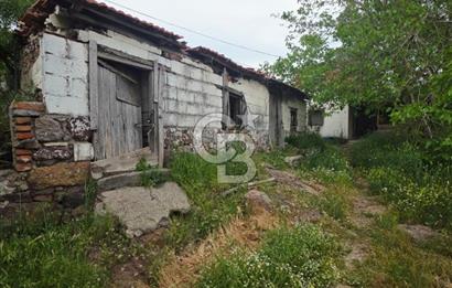 Ayvalık Altınovaya 5Km Mesafede 420 m²Arsa İçinde Kargir Köy Evi