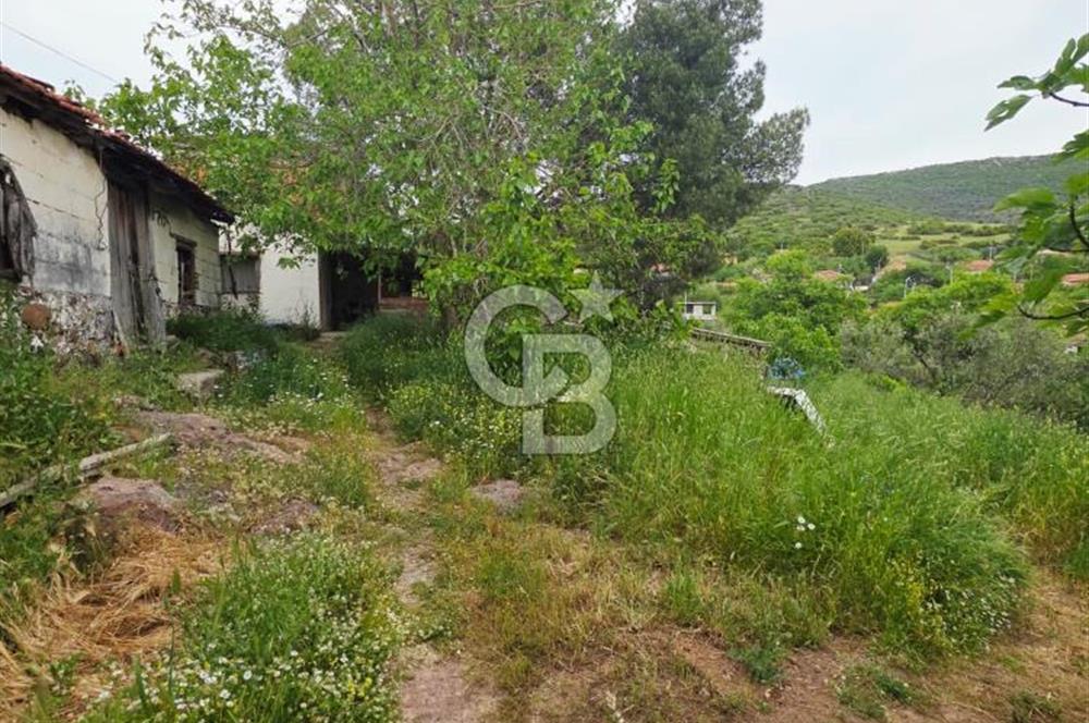 Ayvalık Altınovaya 5Km Mesafede 420 m²Arsa İçinde Kargir Köy Evi