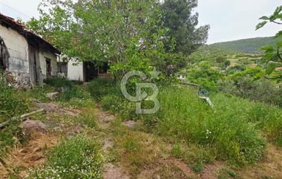 Ayvalık Altınovaya 5Km Mesafede 420 m²Arsa İçinde Kargir Köy Evi
