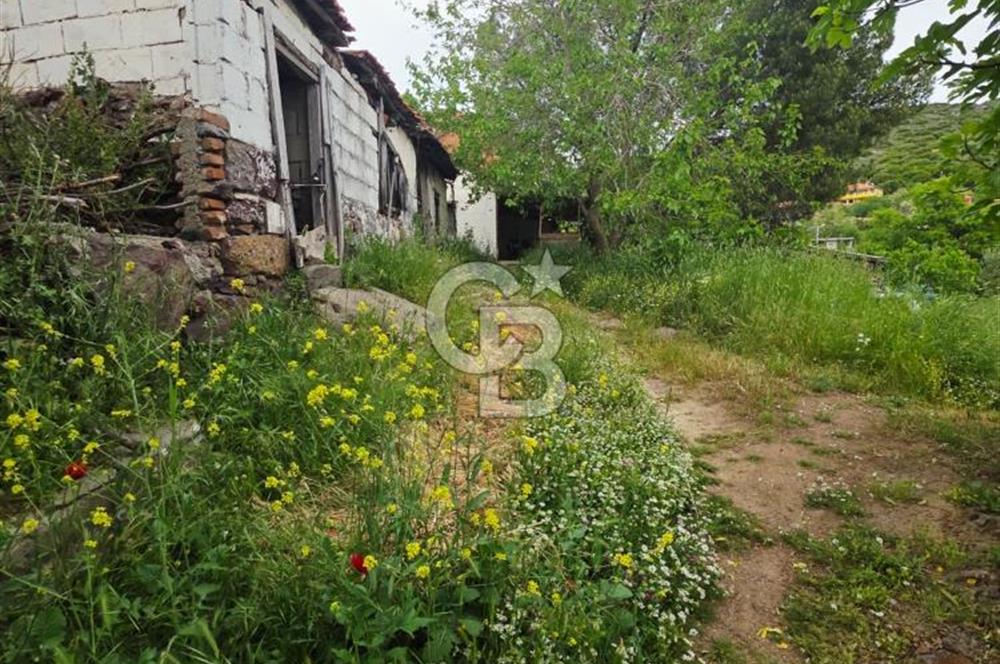 Ayvalık Altınovaya 5Km Mesafede 420 m²Arsa İçinde Kargir Köy Evi