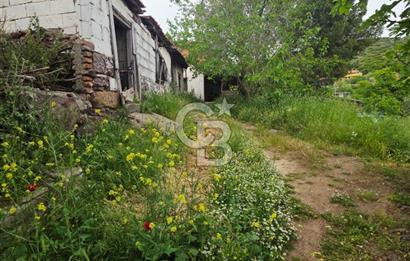 Ayvalık Altınovaya 5Km Mesafede 420 m²Arsa İçinde Kargir Köy Evi