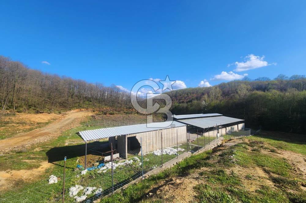 ŞİLE KÖMÜRLÜKTE 1970 M2 TARIMA UYGUN ÇİFTLİK