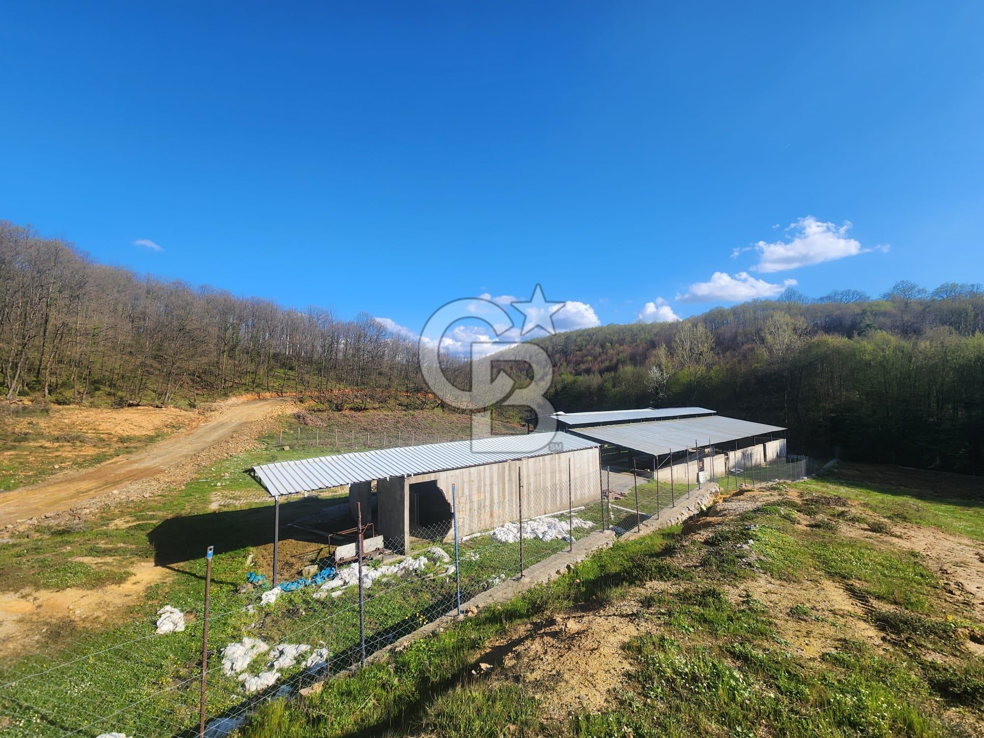 ŞİLE KÖMÜRLÜKTE 1970 M2 TARIMA UYGUN ÇİFTLİK