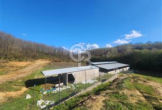 ŞİLE KÖMÜRLÜKTE 1970 M2 TARIMA UYGUN ÇİFTLİK - 6 - 350186