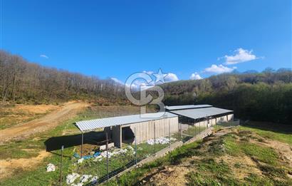 ŞİLE KÖMÜRLÜKTE 1970 M2 TARIMA UYGUN ÇİFTLİK