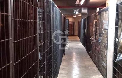 DAİRE KARTAL DENİZ MANZARALI TAM EŞYALI 58m2 KİRALIK 1+1 DAİRE FIRSATI