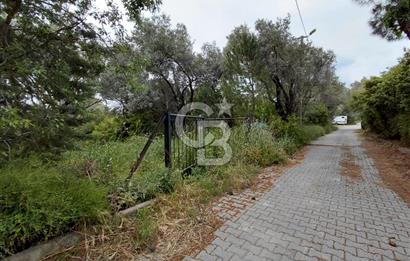 Bornova Yakaköy Merkezde Yola Cepheli Müstakil Tapulu Tarla
