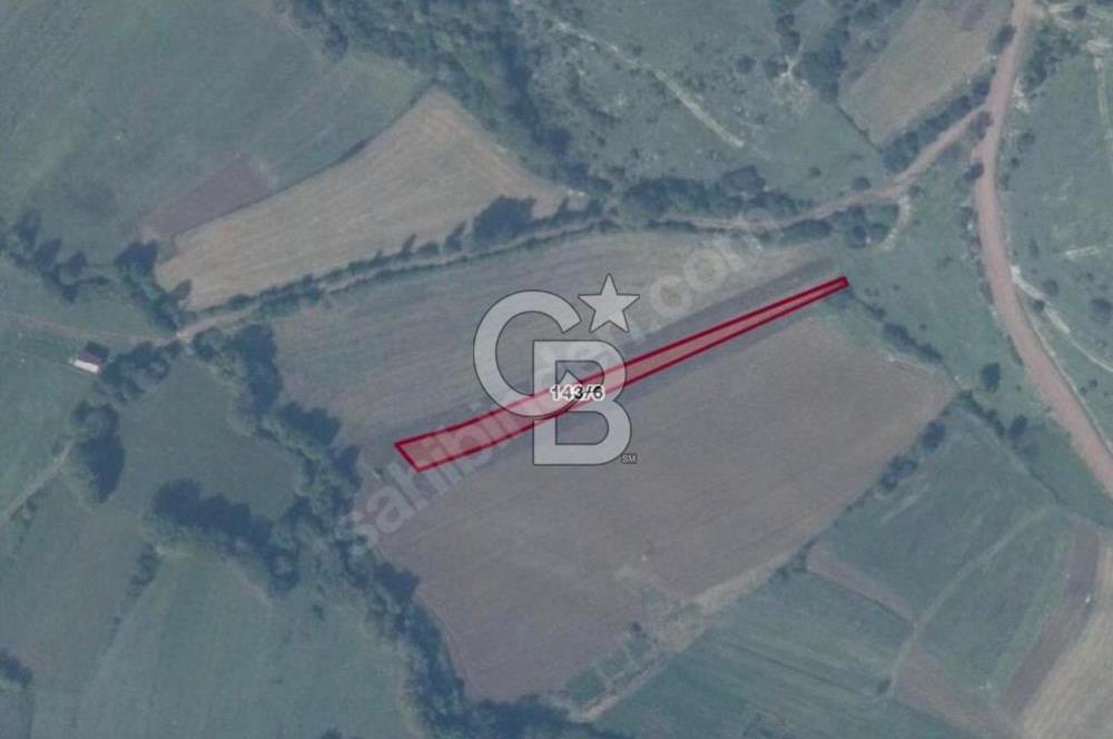 KOCAELİ KANDIRA DURAÇALİ KÖYÜ'NDE 954M2 TARLA
