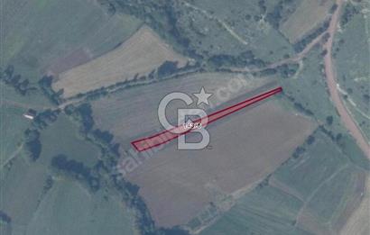 KOCAELİ KANDIRA DURAÇALİ KÖYÜ'NDE 954M2 TARLA
