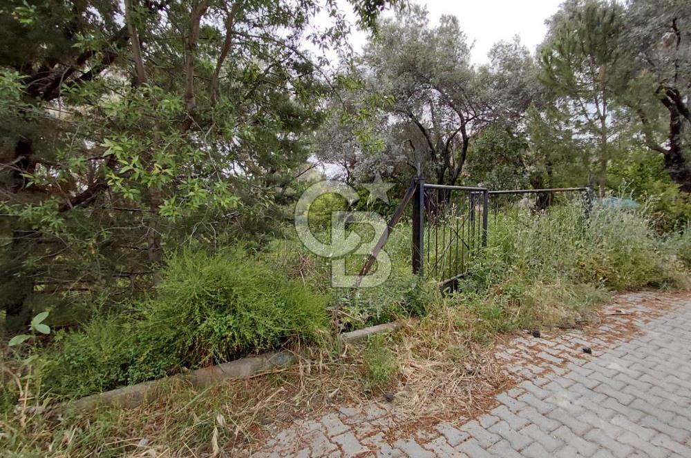 Bornova Yakaköy Merkezde Yola Cepheli Müstakil Tapulu Tarla