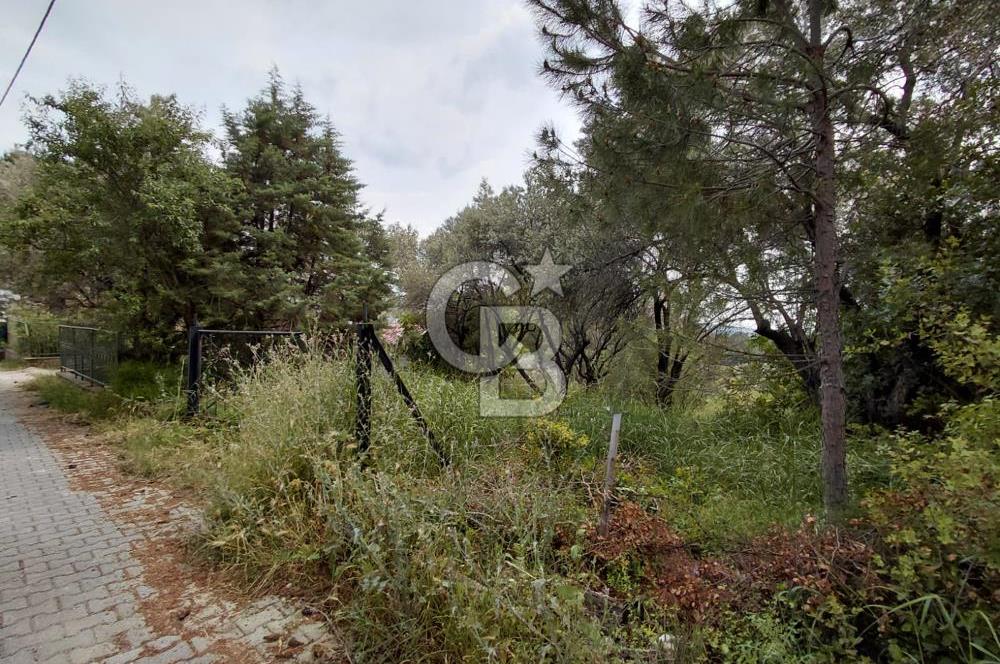 Bornova Yakaköy Merkezde Yola Cepheli Müstakil Tapulu Tarla