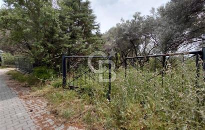 Bornova Yakaköy Merkezde Yola Cepheli Müstakil Tapulu Tarla