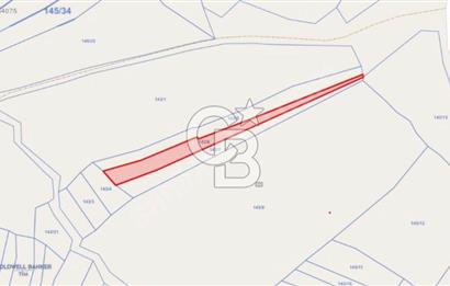 KOCAELİ KANDIRA DURAÇALİ KÖYÜ'NDE 954M2 TARLA