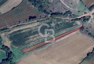 KOCAELİ KANDIRA DURAÇALİ KÖYÜ'NDE 954M2 TARLA - 8 - 350237