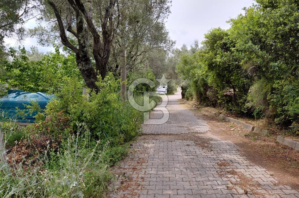 Bornova Yakaköy Merkezde Yola Cepheli Müstakil Tapulu Tarla