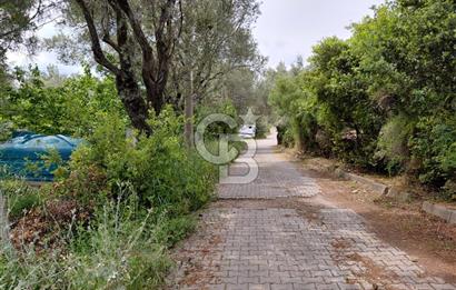 Bornova Yakaköy Merkezde Yola Cepheli Müstakil Tapulu Tarla