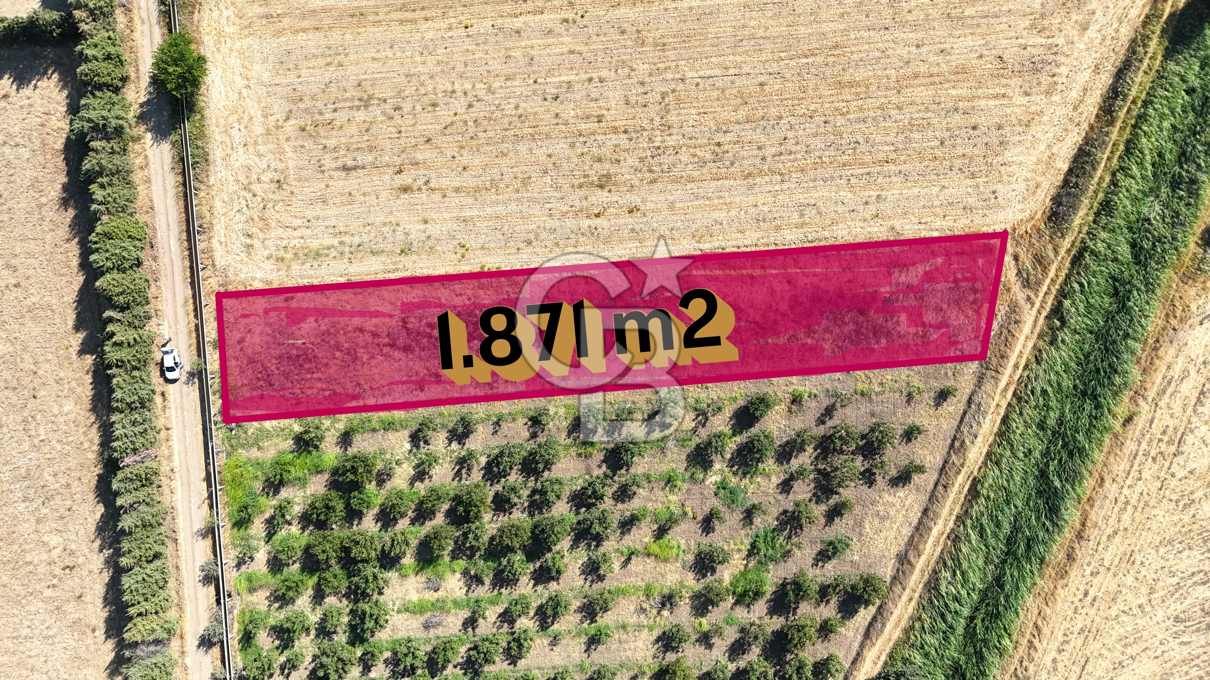 Çanakkale Bayramiç Ahmetçeli Köyü 1871 m2 Tarla