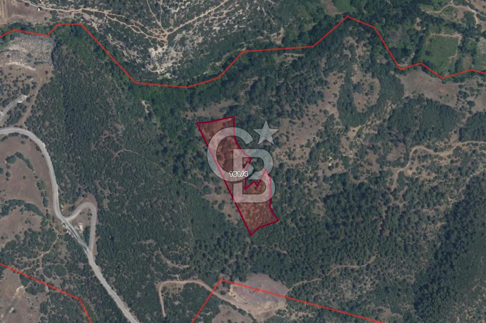 CB Eagle'Dan DURSUNBEY GÖKÇEDAĞ'DA 12.966 m² SATILIK TARLA 
