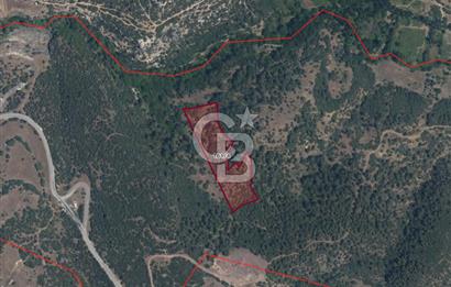 CB Eagle'Dan DURSUNBEY GÖKÇEDAĞ'DA 12.966 m² SATILIK TARLA 