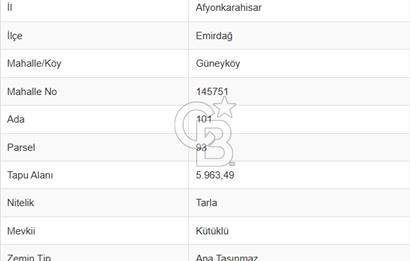 CB CITY' DEN AFYONKARAHİSAR/EMİRDAĞ SATILIK TARLA
