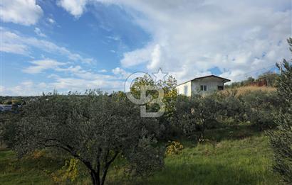 GAZİEMİR SEVGİ MAHALLESİNDE 500M2 TARLA