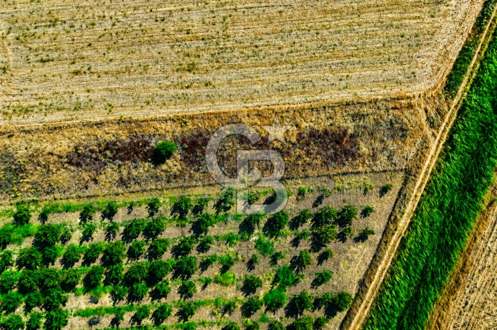 Çanakkale Bayramiç Ahmetçeli Köyü 1871 m2 Tarla