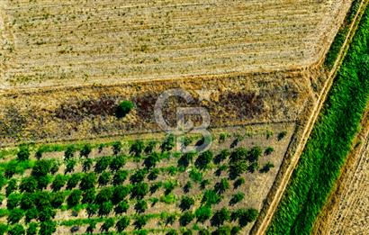 Çanakkale Bayramiç Ahmetçeli Köyü 1871 m2 Tarla