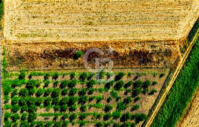 Çanakkale Bayramiç Ahmetçeli Köyü 1871 m2 Tarla