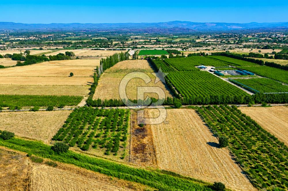 Çanakkale Bayramiç Ahmetçeli Köyü 1871 m2 Tarla