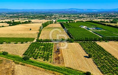 Çanakkale Bayramiç Ahmetçeli Köyü 1871 m2 Tarla