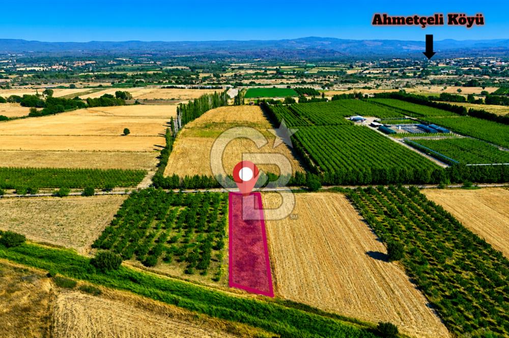 Çanakkale Bayramiç Ahmetçeli Köyü 1871 m2 Tarla
