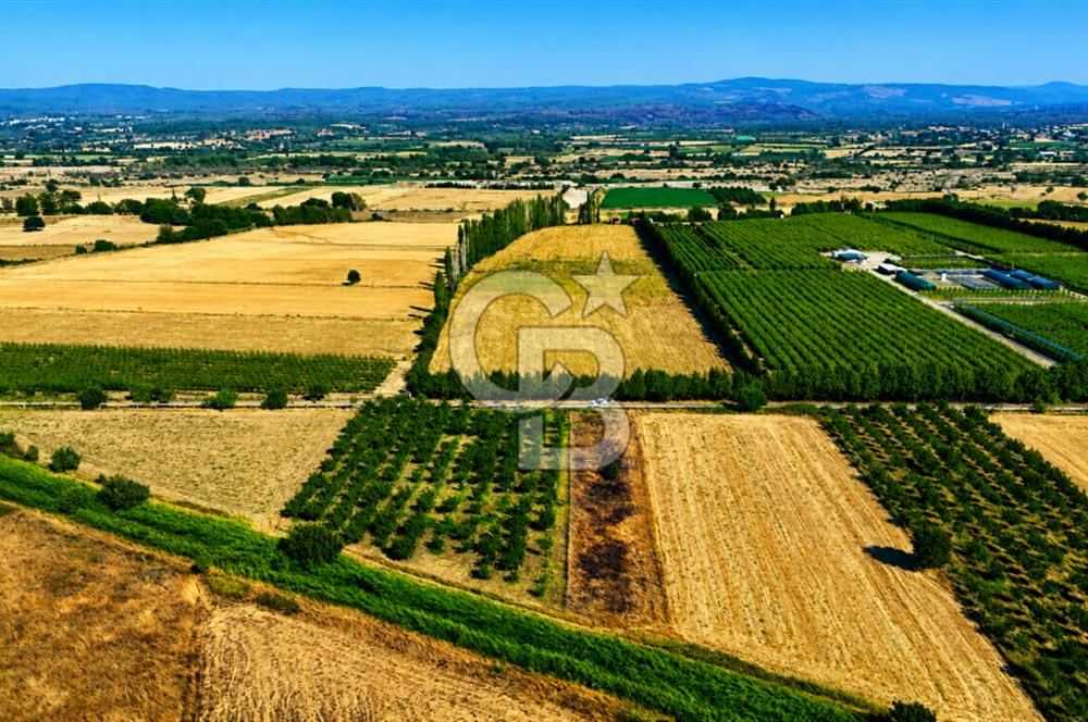 Çanakkale Bayramiç Ahmetçeli Köyü 1871 m2 Tarla