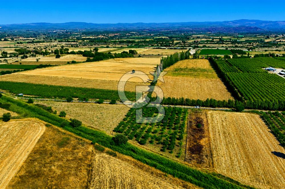 Çanakkale Bayramiç Ahmetçeli Köyü 1871 m2 Tarla