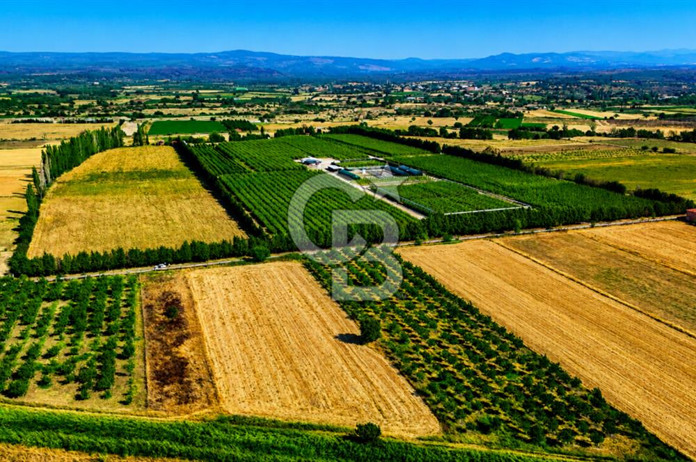 Çanakkale Bayramiç Ahmetçeli Köyü 1871 m2 Tarla
