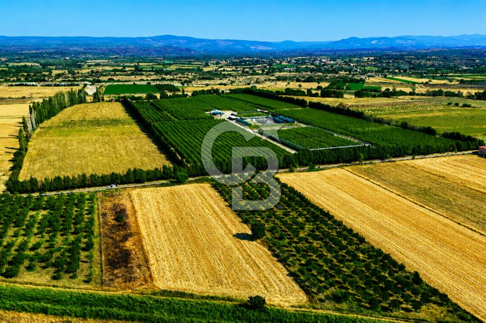 Çanakkale Bayramiç Ahmetçeli Köyü 1871 m2 Tarla