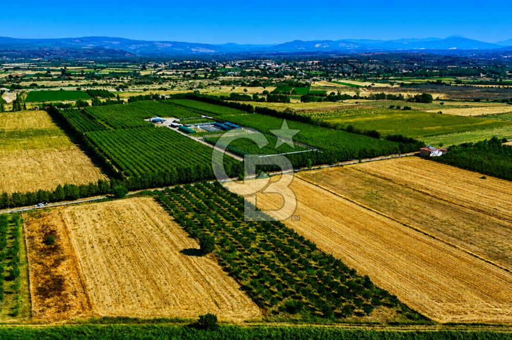 Çanakkale Bayramiç Ahmetçeli Köyü 1871 m2 Tarla