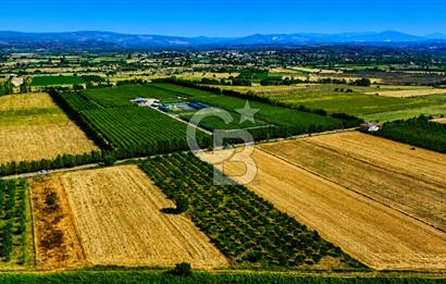 Çanakkale Bayramiç Ahmetçeli Köyü 1871 m2 Tarla